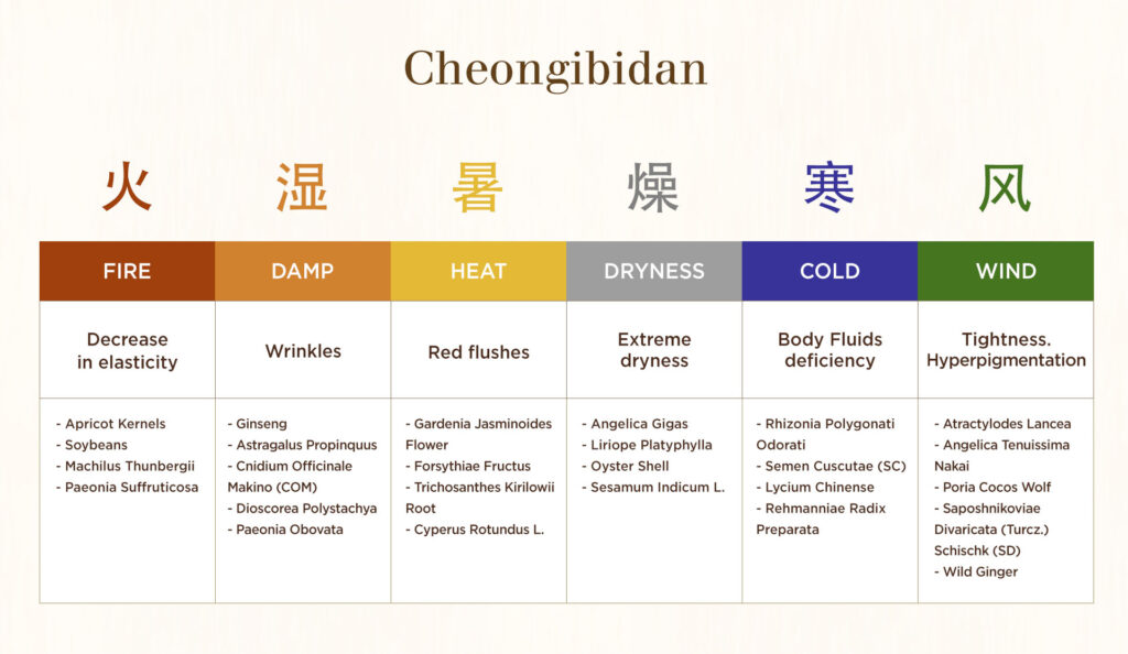 The History of Whoo - Cheongibidam herbs