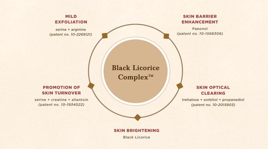Anti-Aging Korean Skincare Routine Fusing Tradition & Innovation: Sooryehan's The Black Line (AD)