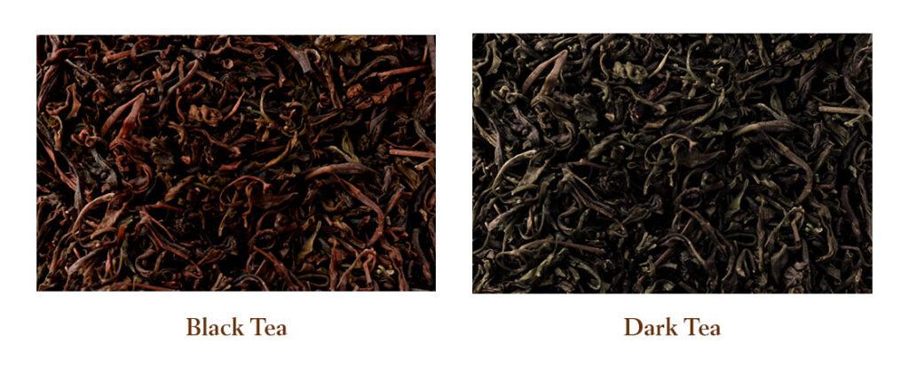 Sum37° - Black Tea vs Dark Tea