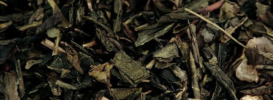 Su:m37° - Gushu Pu'er tea