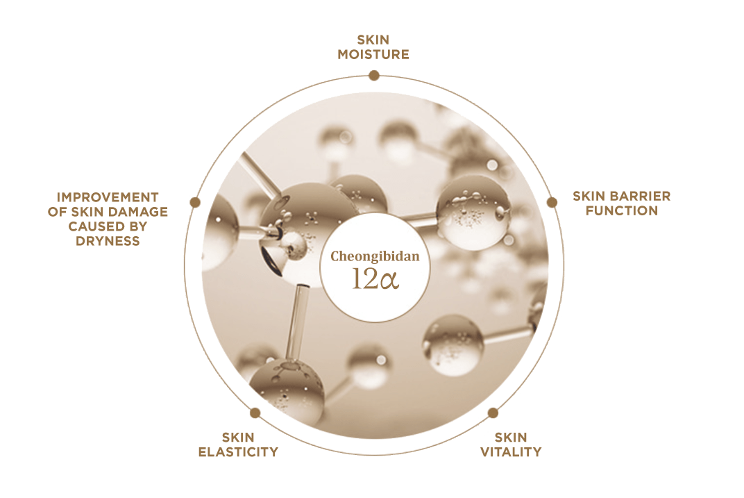 The History of Whoo - Cheongibidan 12a