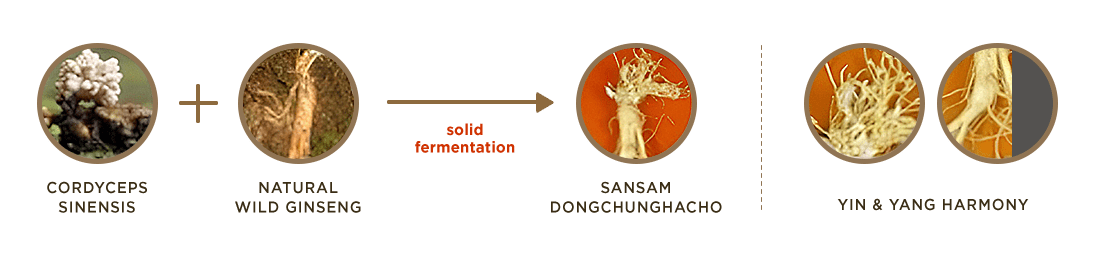 The History of Whoo – Gong Jin Hyang Firming line Sansam Dongchunghacho