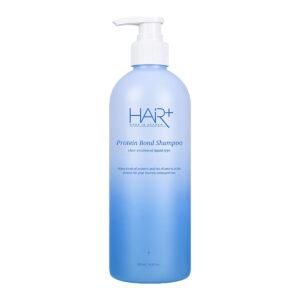Hair+ - Protein Bond Shampoo