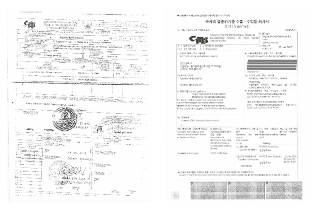The History of Whoo - Nutrition Gummy Balance Care