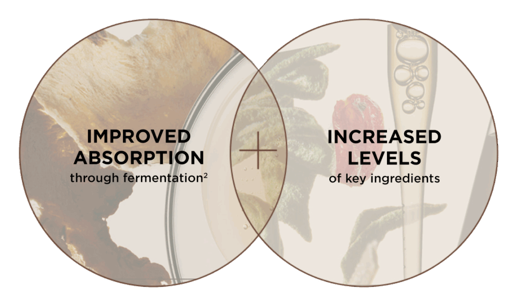 The History of Whoo - Nutrition Gummy Balance Care