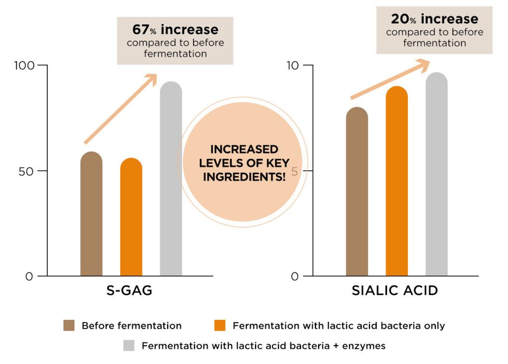 The History of Whoo - Nutrition Gummy Balance Care