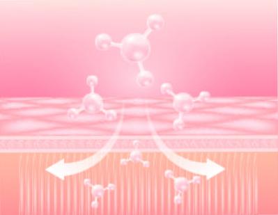 The History of Whoo - Nutrition Gummy Balance Care