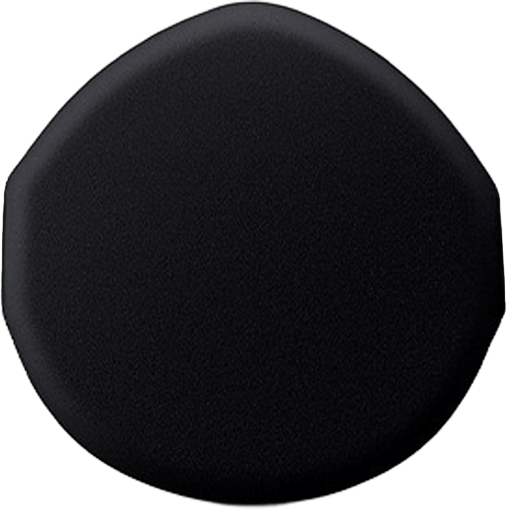 The History of Whoo - Royal Complexion Satin Cushion SPF50+/PA+++ puff