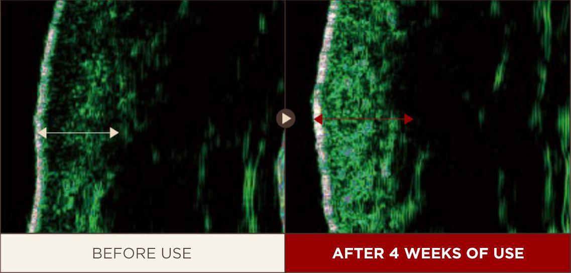 The History of Whoo - Whoospa Scalp Anti-Aging & Hair Lifting Shampoo