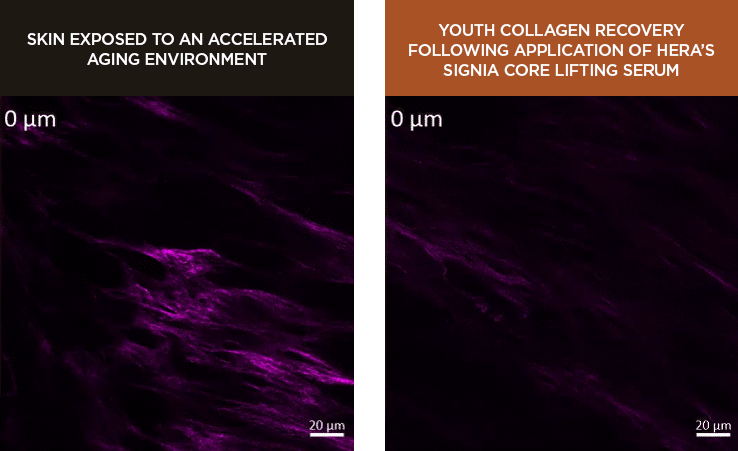 Hera - Signia Core Lifting Serum