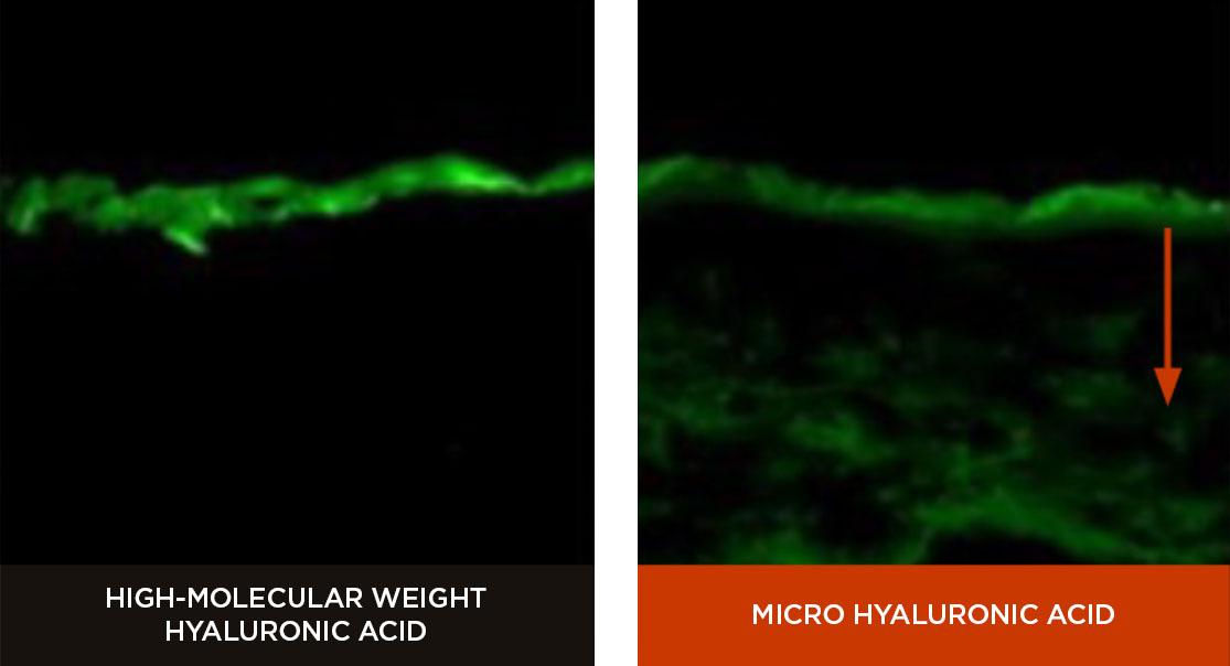 Hera - Signia Refining Water Essence