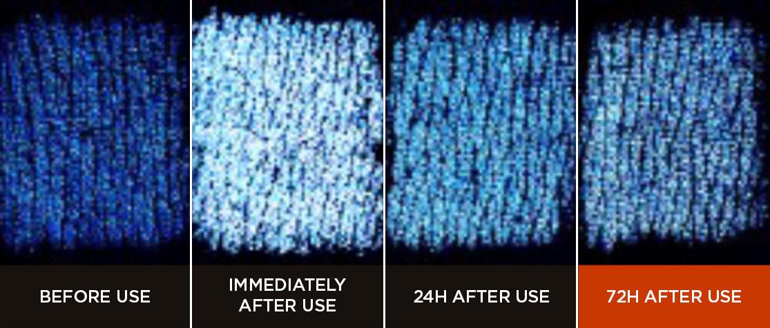 Hera - Signia Vital Lifting Cream