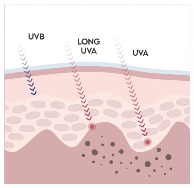 Hera - UV Protector Tone-Up Lavender SPF50+/PA++++