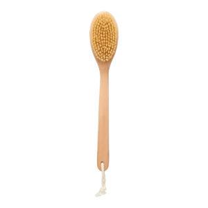 Olive Young - Body Brush